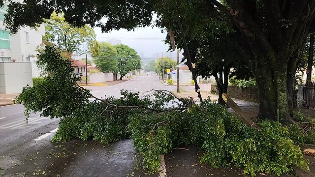 Galhos e pedaço de caminhão caem na Rua Antonina e Corpo de Bombeiros é acionado