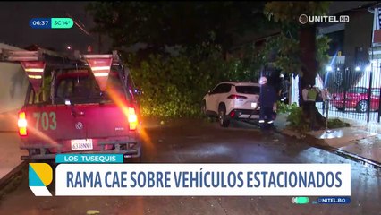 Árbol cae sobre vehículos en Santa Cruz de la Sierra