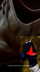 Un zapato izquierdo y un zapato derecho - Cuentito