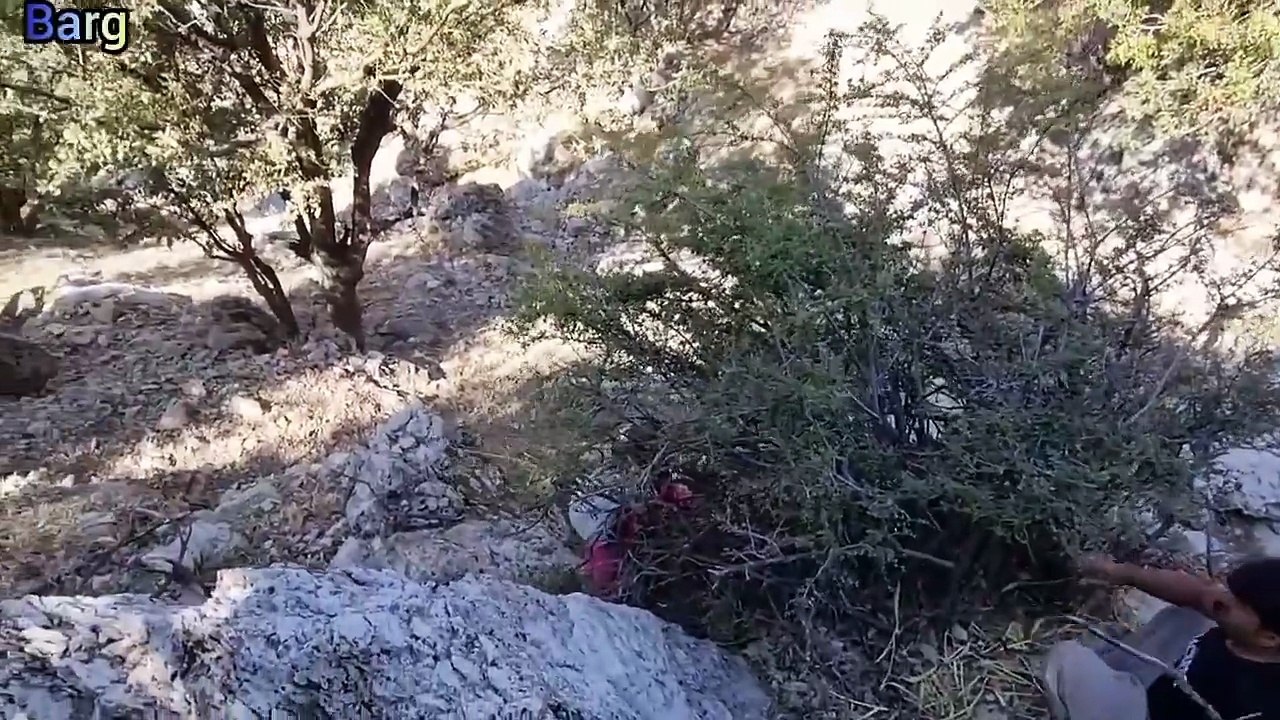 Video.Guru_20251028_171748458