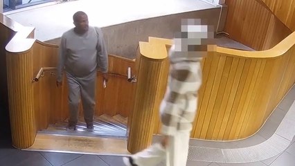 Epping migrant sex offender Hadush Kebatu mistakenly released from prison deported to Ethiopia