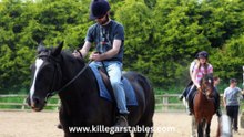 Killegar Stables