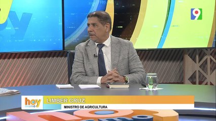 ¿Qué hara el gobierno por las perdidas en la agricultura por la tormenta Melissa?  | Hoy Mismo