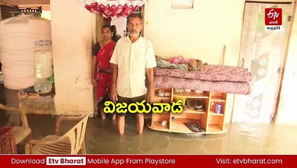 ఉమ్మడి కృష్ణా జిల్లాపై తుపాను ప్రభావం - ఆదుకోవాలంటున్న రైతులు