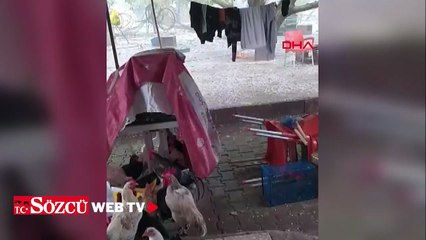 Elazığ’da dolu yağışı yolları beyaza bürüdü