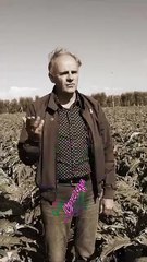 SAGRA CARCIOFO 2025-Minno Di Diase - video 1 - sagradelcarciofotrinitapoli.it