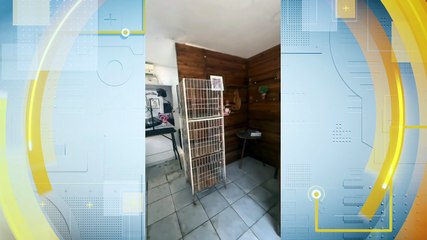 Furto em Pet Shop do Engenho do Meio, Recife: Equipamentos Profissionais Furtados e Prejuízo Estimado em R$15 mil