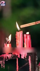 Bowing To His Silent Rose Chinese Drama Eng Sub