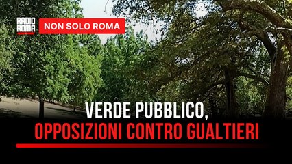 Verde pubblico, Gualtieri annuncia un milione di alberi per Roma, le opposizioni: "Solo opacità"