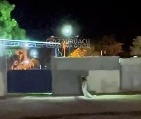 Vídeo: ministério de noiva em cemitério agita moradores do interior de Goiás