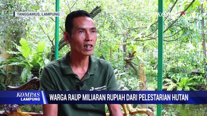 Warga Raup Miliaran Rupiah dari Pelestarian Hutan