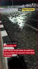 Fish Truck Overturns in Kanpur | Locals Rush to Collect Fish from the Road