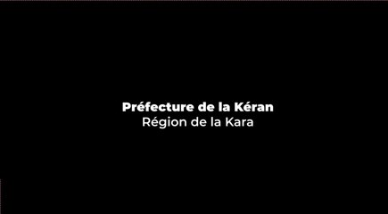 ENGAGEMENTS DES ACTEURS POUR LA REVALORISATION DE LA MÉDECINE ET DE LA PHARMACOPÉE TRADITIONNELLE AU TOGO.