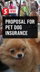 Govt mulls mandatory insurance for dog owners