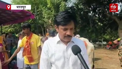 गोपाष्टमी पर श्रीजड़खोर गोधाम में आस्था का महासंगम, 10 हजार गायों की सामूहिक पूजा