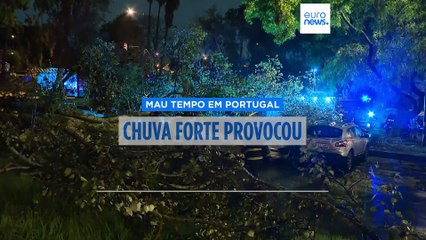 Mau tempo provoca mais de mil ocorrências em Portugal continental
