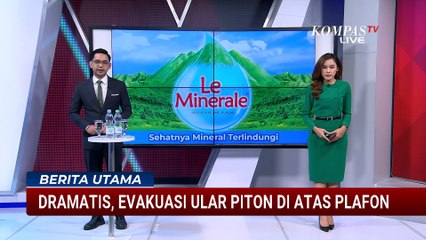 Dramatis! Evakuasi Ular Sepanjang 4 M dari Plafon Rumah Warga di Surabaya | BERUT