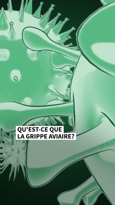 Qu’est-ce que la grippe aviaire?