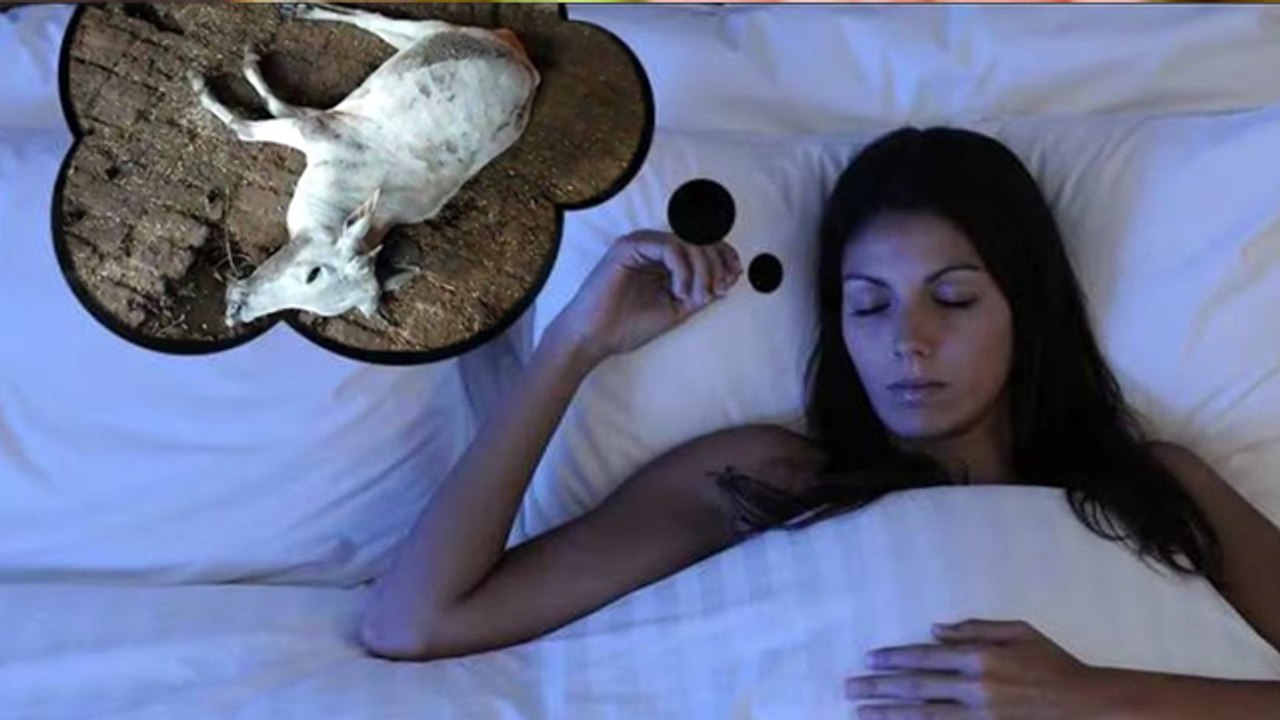 Cow Death In Dreams: सपने में गाय का मरना देखने...