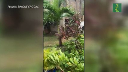 Hurricane Melissa Overview 🌪️