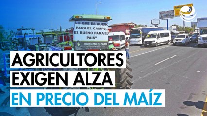 Exigen agricultores alza en precios de garantía del maíz