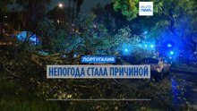 Португалия: непогода стала причиной более тысячи инцидентов