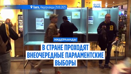 В Нидерландах проходят внеочередные парламентские выборы, третьи за 4 года