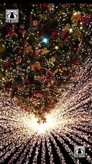 Fyi My Love Ship's Sailed Without You