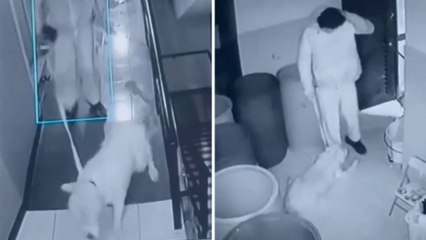 Esto es lo que podría pasarle al hombre que golpeó y maltrató brutalmente a 'Samantha' en Bogotá