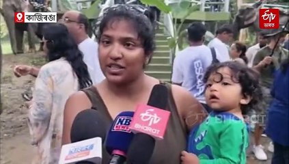 হাতীত উঠি উপভোগ কৰক কাজিৰঙাৰ সৌন্দৰ্য, মুকলি হ'ল হাতী ছাফাৰী