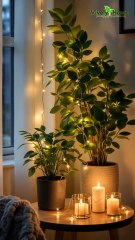 Shop Artificial Plants 50% Descount