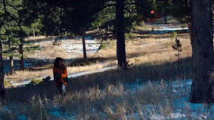 Elevation (2024) Movie Explained in Hindi_Urdu _ Elevation Reaper Monsters Story Summarized हिन्दी(720P_HD)