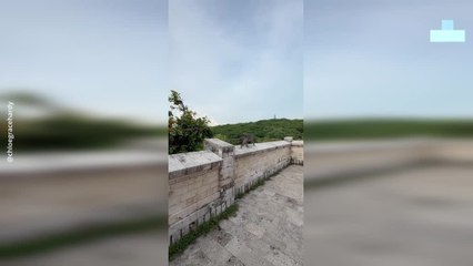 Chaos in Bali as Monkey Steals Iphone