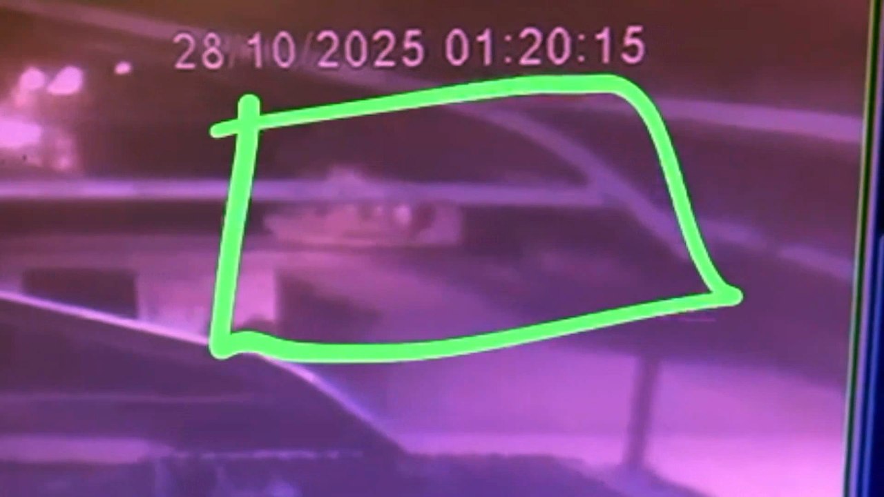 Título: Furto de Equipamentos Profissionais Deixa Pet Shop do Engenho do Meio, Recife, em Prejuízo de R$15 mil