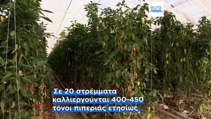 Ουγγαρία: Ο ρόλος της τεχνητής νοημοσύνης στην γεωργία