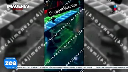 'Los Malportados' prenden fuego a cantante por olvidar la letra | Noticias con Francisco Zea