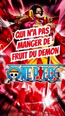 Cite des personnages qui n'ont pas mangé de fruit du démon dans ONE PIECE