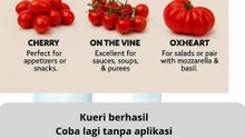 you've been using the wrong tomato