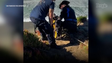 San Francisco Dog Rescued After Spending 20 Minutes Clinging to Side of a Cliff: ‘He Was Giving Everyone Kisses’