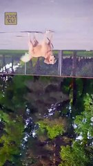 The Cure for a Broken Heart