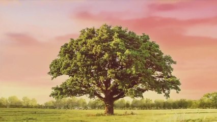 Na miłość nie ma recepty - 72