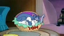 Tom And Jerry - 074 - Jerry And Jumbo (1953)