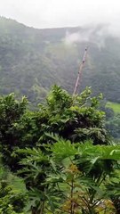 From Himalayan Waste to Green Wonder: How Nepal is Turning Trash into Forests