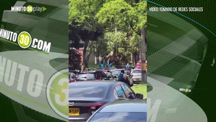 ¡Véalos pues! Estos gamines, dizque taxistas dañando arbolitos para tapar algunas vías en Medellín