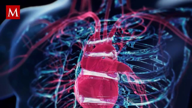 Estos son los síntomas que te indican si podrías sufrir un infarto al miocardio