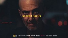 Primer Avance Oficial de 'Molusco'