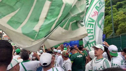 Torcida do Palmeiras vai em peso ao treino do time antes de decisão na Libertadores