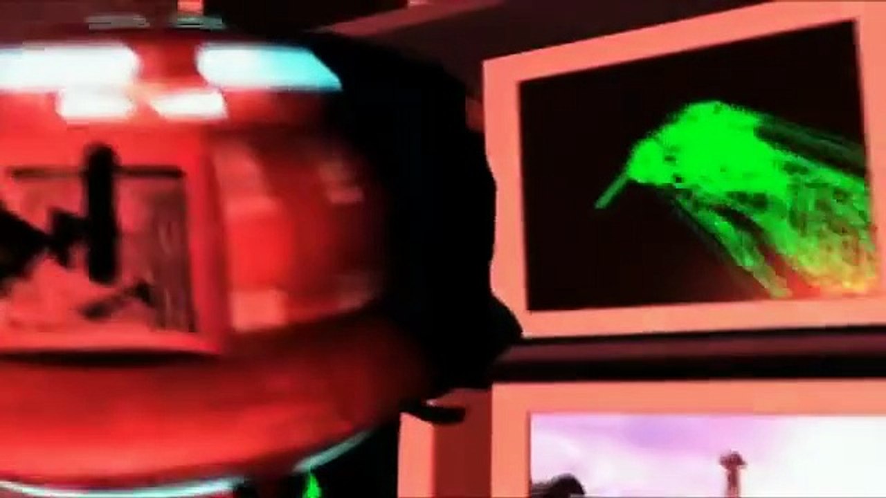 Introduction Wipeout