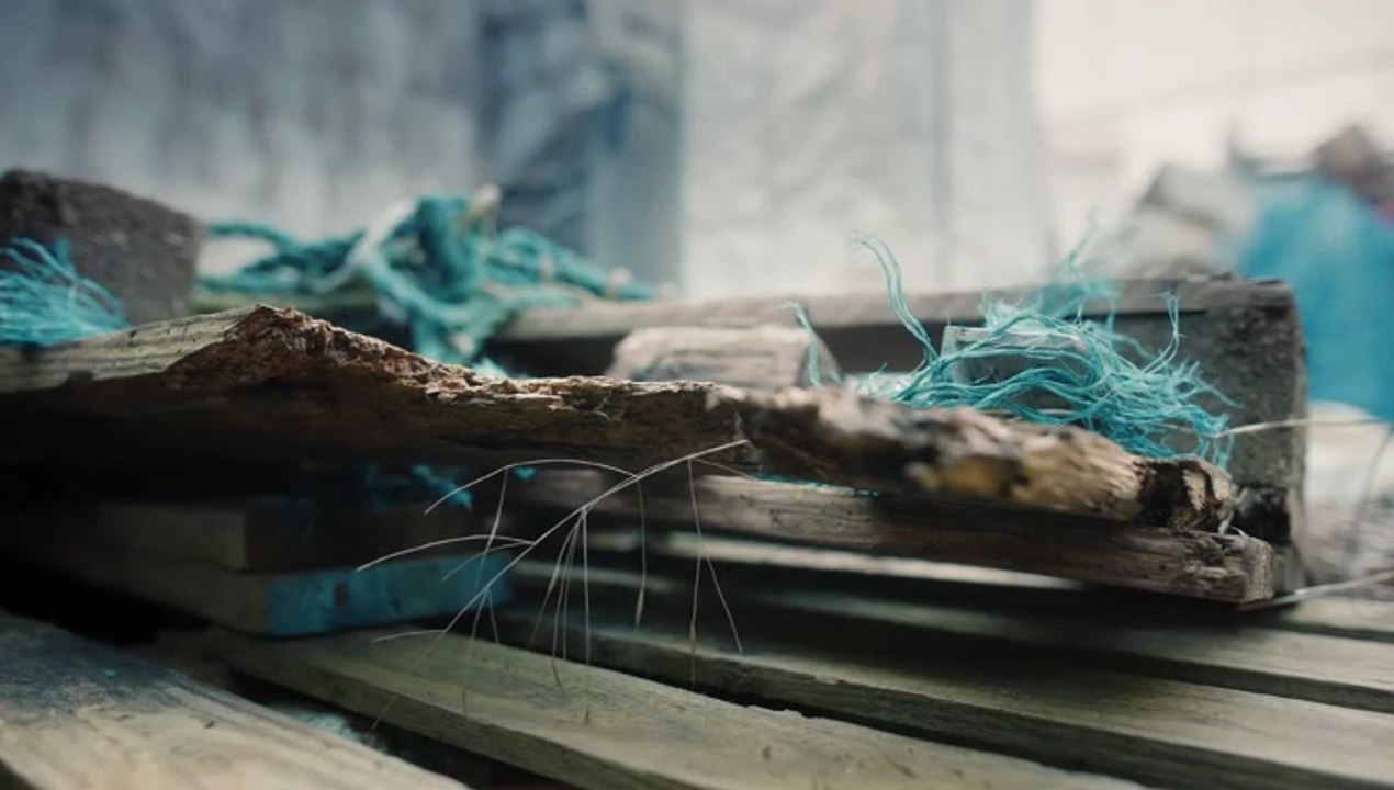 Der Usedom-Krimi -26- Geisternetze