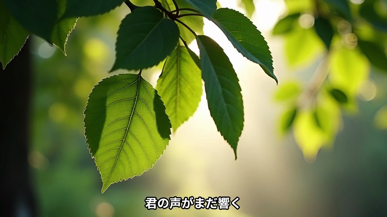[暁の空] - dawning sky -